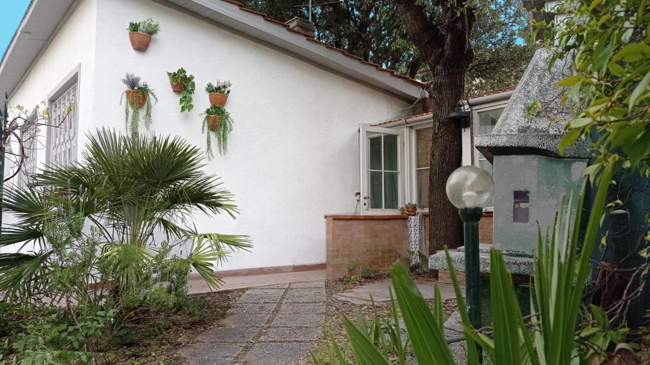 Villetta La Gabbianella Livorno Exterior foto